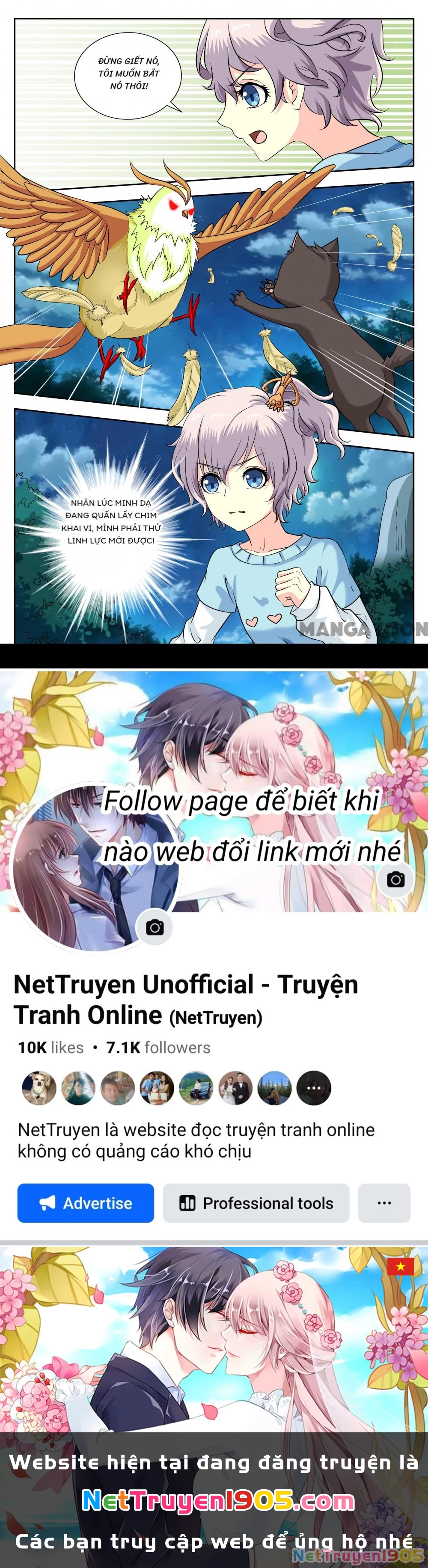 Lời Nguyền Biến Hình Chapter 223 - 8