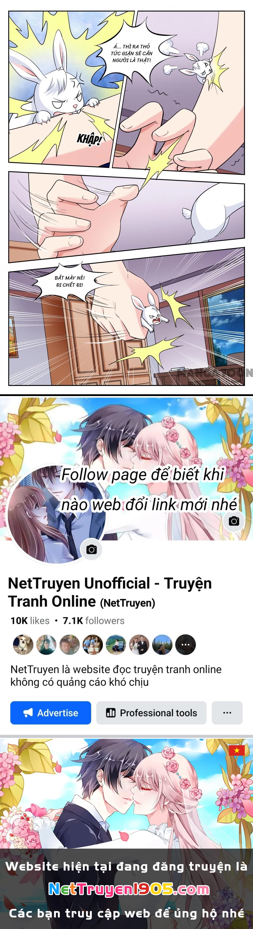 Lời Nguyền Biến Hình Chapter 249 - 8