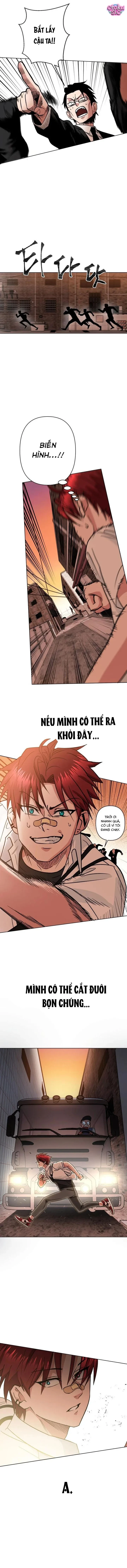 Tên Du Côn Và Tiểu Thư Giang Hồ Chapter 1 - 15