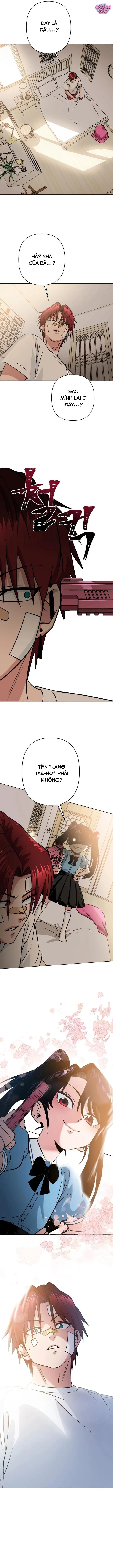 Tên Du Côn Và Tiểu Thư Giang Hồ Chapter 1 - 19