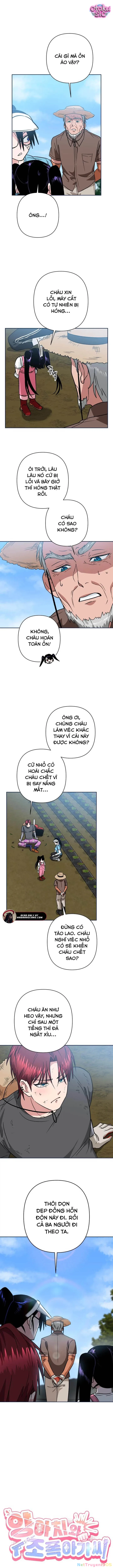 Tên Du Côn Và Tiểu Thư Giang Hồ Chapter 4 - 4