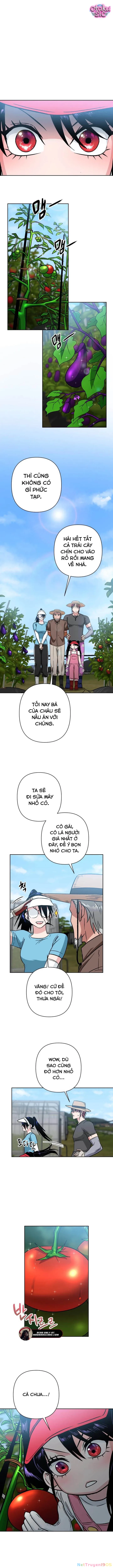 Tên Du Côn Và Tiểu Thư Giang Hồ Chapter 4 - 5