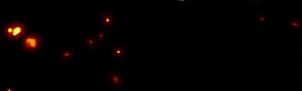 Nhật Kí Học Tập Của Hắc Liên Hoa Chapter 177 - 18