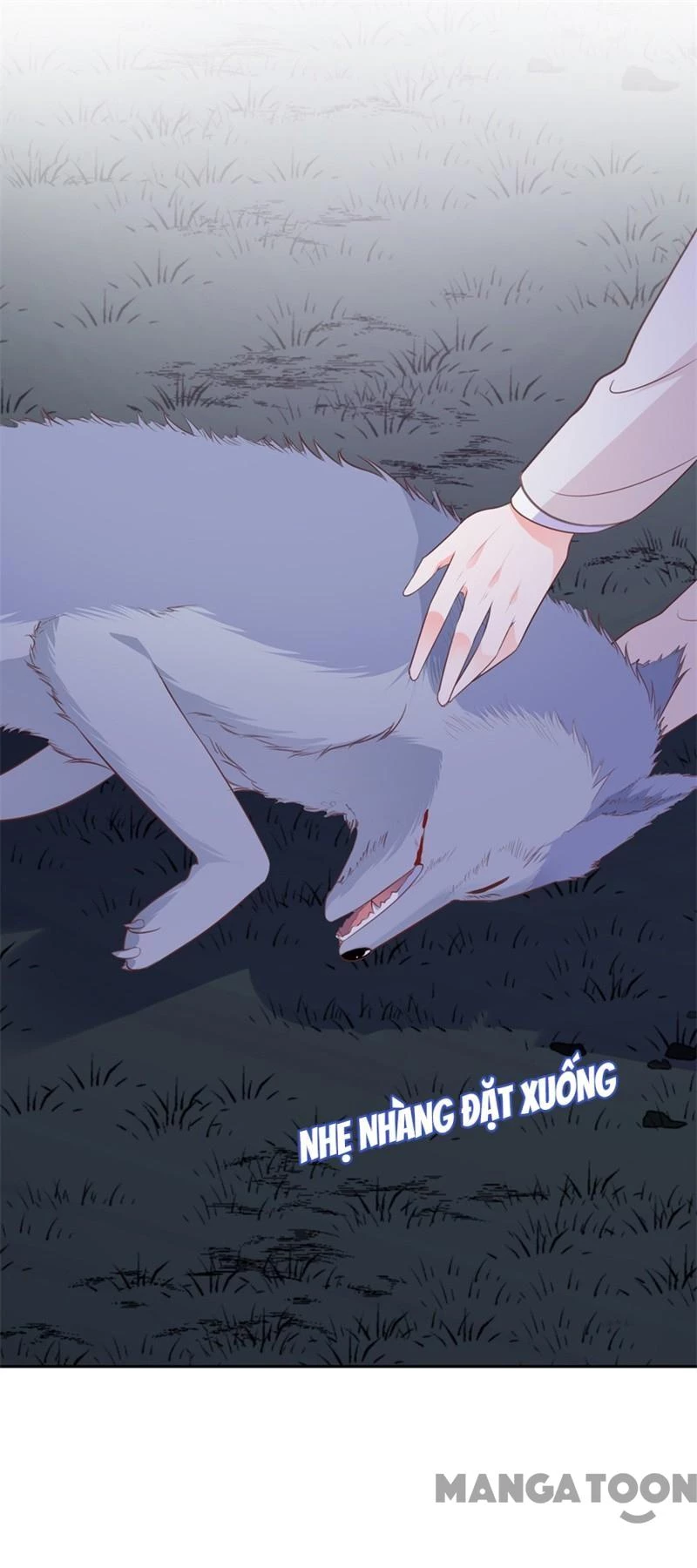 Bạn Gái Scandal Của Quý Thiếu Chapter 39 - 19
