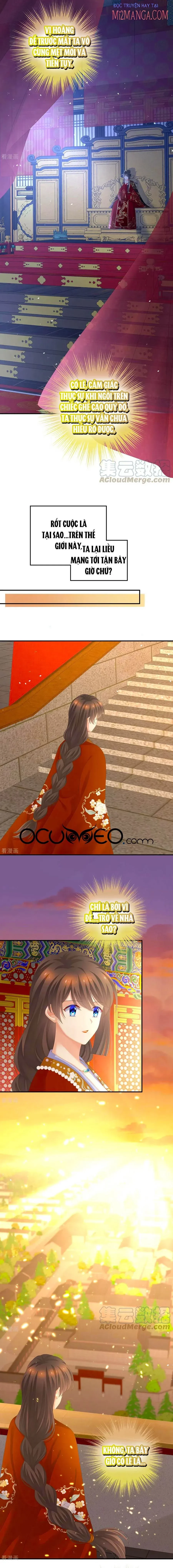 Hậu Cung Của Nữ Đế Chapter 259.5 - 3