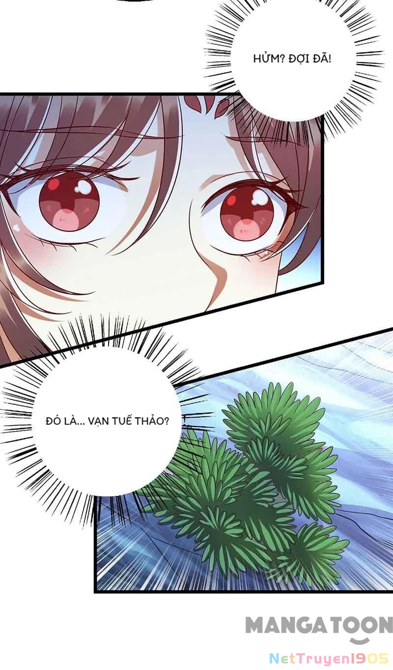 Nhất Phẩm Đích Nữ Chapter 199 - 16