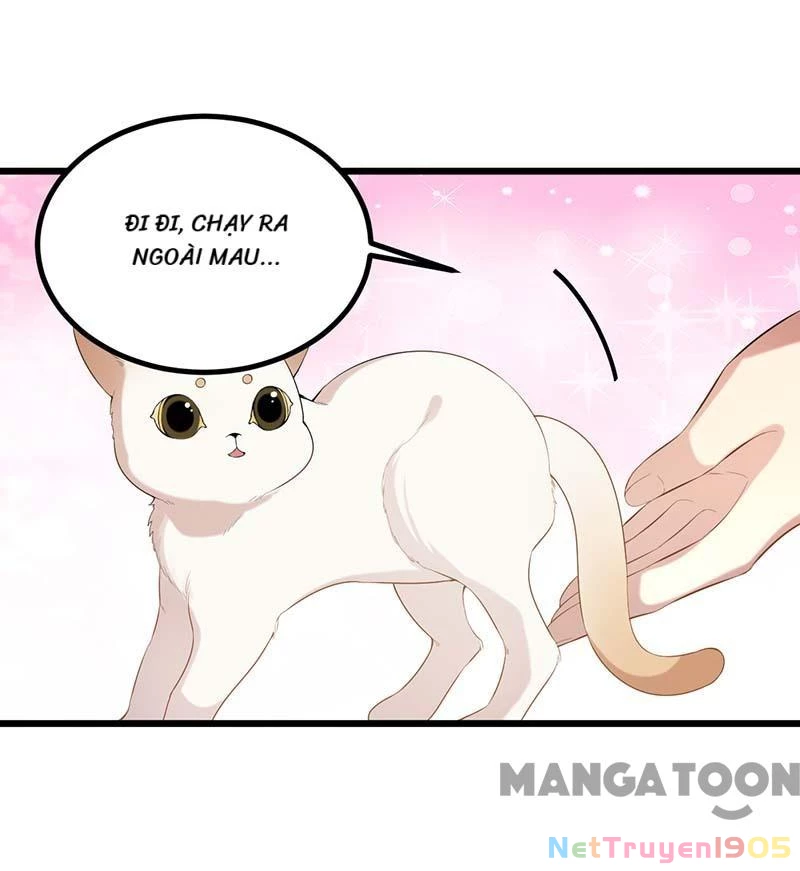 Nhất Phẩm Đích Nữ Chapter 249 - 22