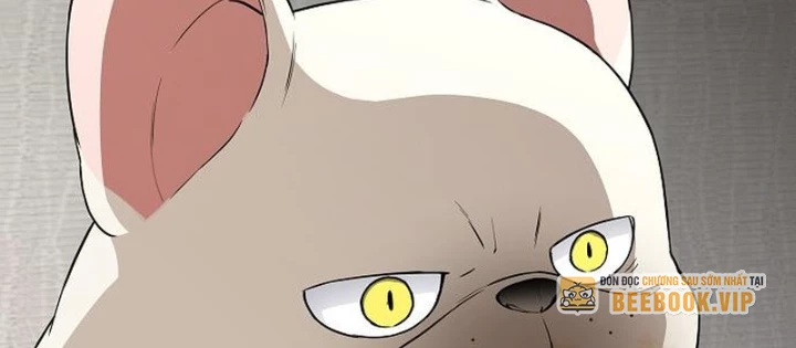 Kiếm vương Chapter 61 - 100