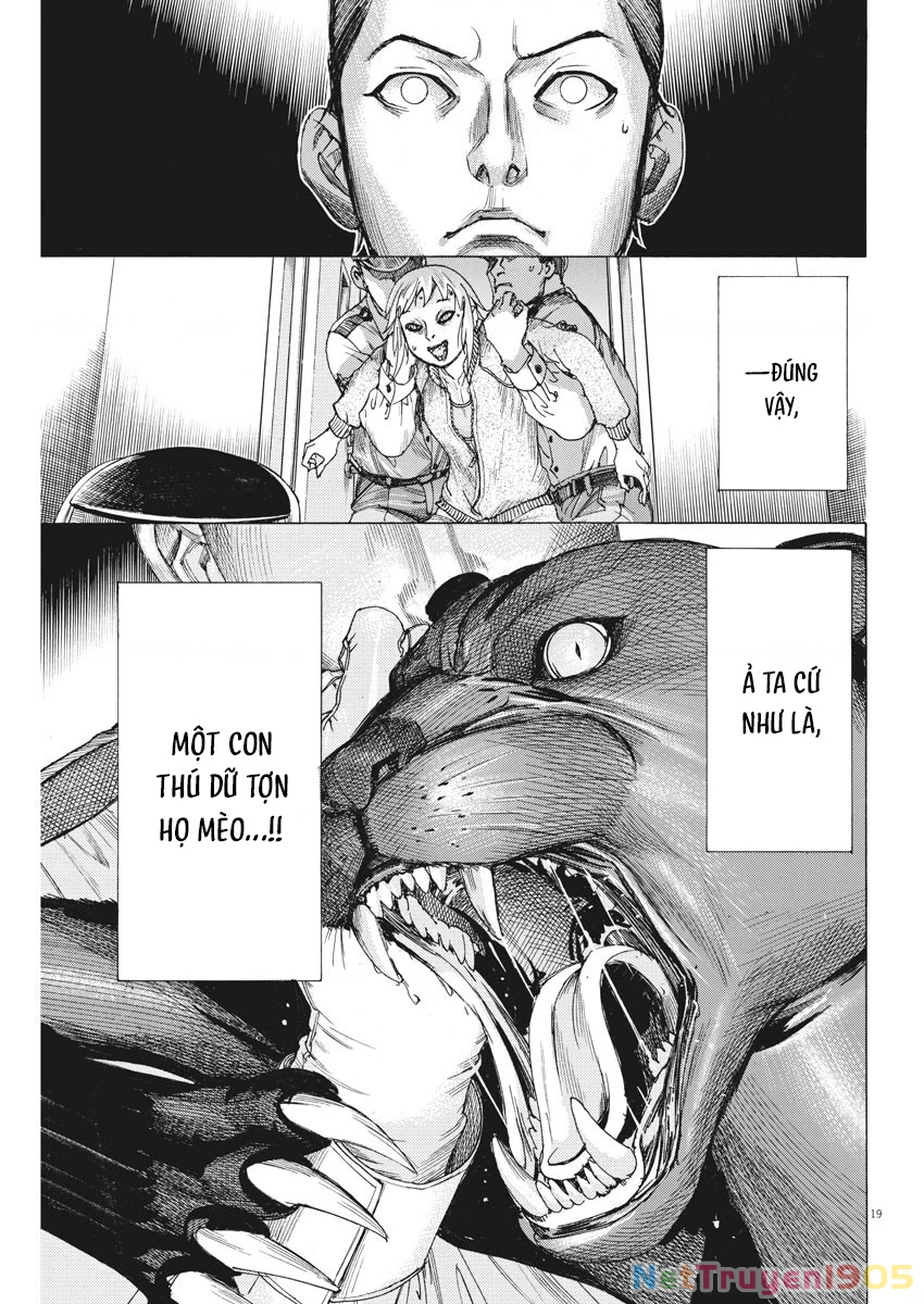 Đám Cưới Của Natsume Arata Chapter 36 - 20