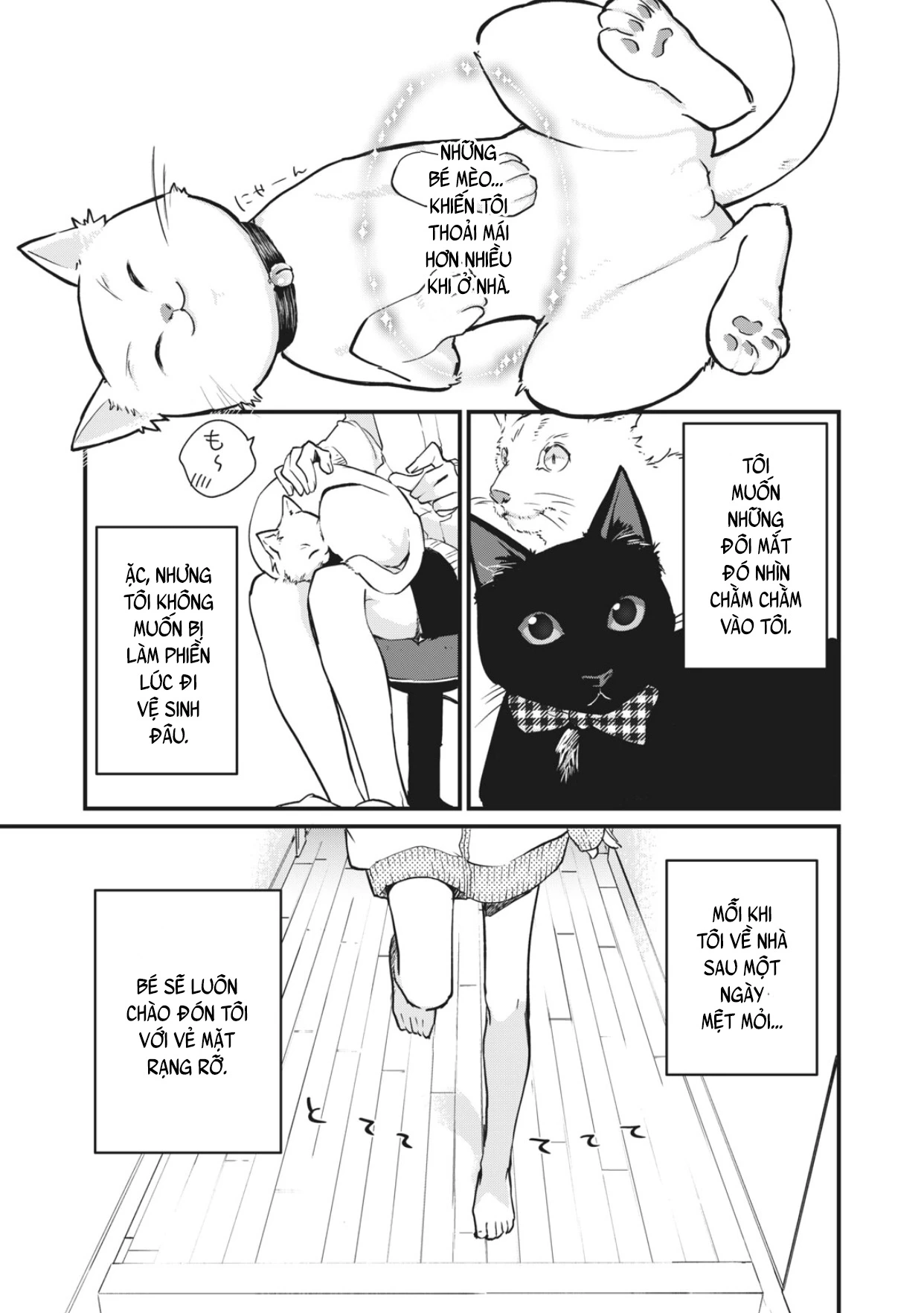 Bé Mèo Đang Chờ Tôi Ở Nhà Chapter 1 - 2