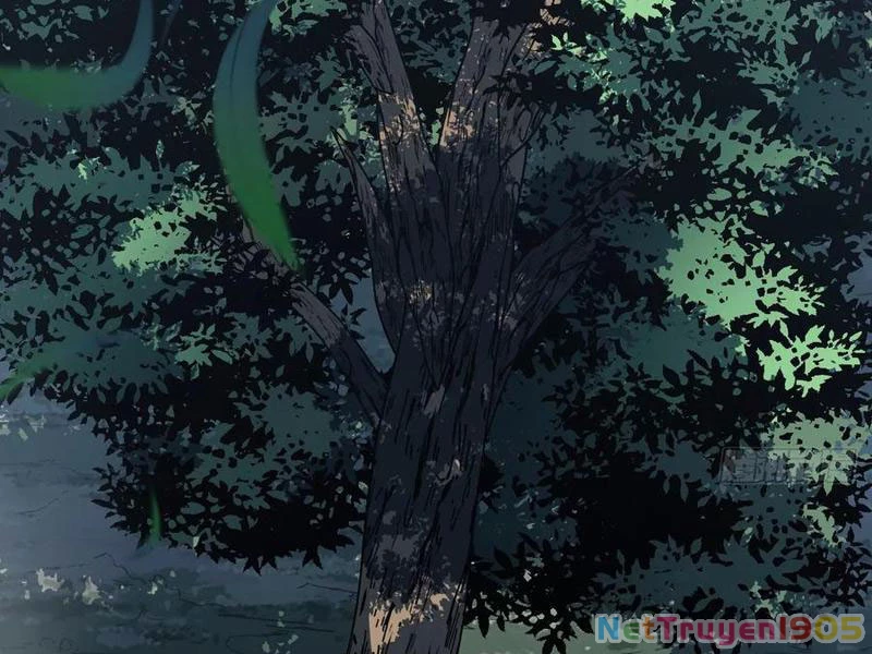 Mệnh Luân Chi Chủ! Khi Dị Biến Giáng Lâm Nhân Gian! Chapter 150 - 62