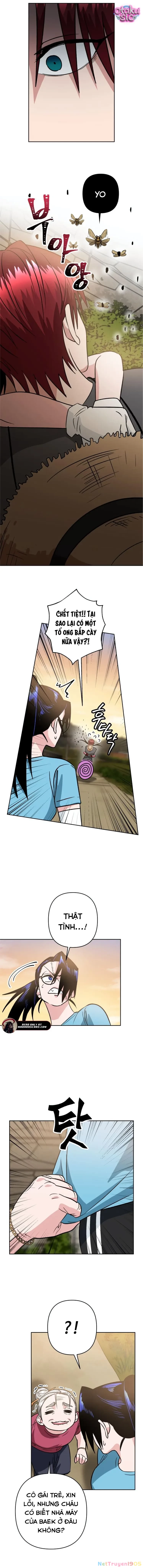 Tên Du Côn Và Tiểu Thư Giang Hồ Chapter 5 - 4