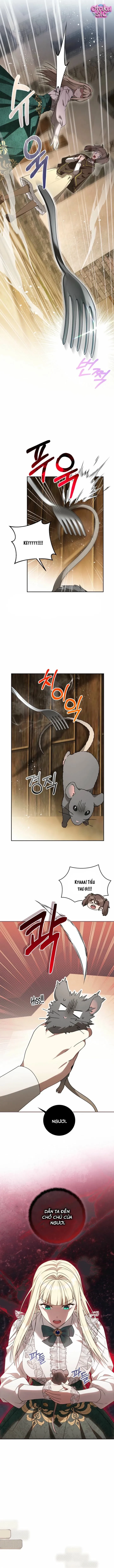 Ác Nữ Đoạt Hồn Gây Náo Loạn Chapter 6 - 8