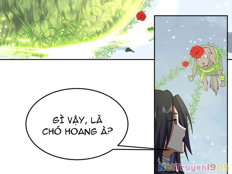 Sư Tỷ, Ta Không Muốn Cố Gắng! Chapter 1 - 23