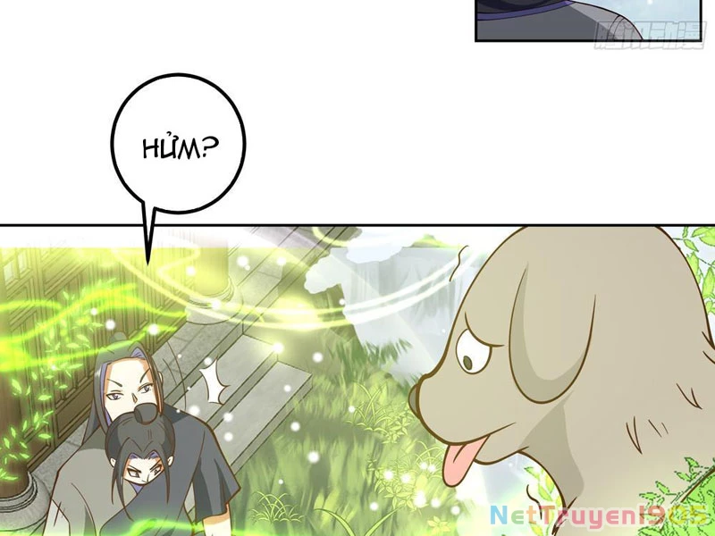 Sư Tỷ, Ta Không Muốn Cố Gắng! Chapter 1 - 24