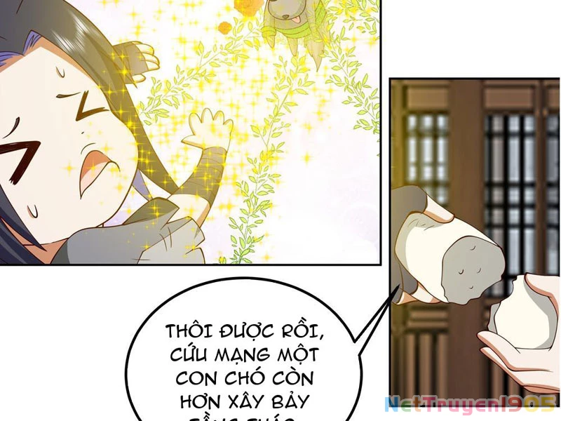 Sư Tỷ, Ta Không Muốn Cố Gắng! Chapter 1 - 28
