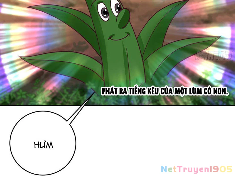 Sư Tỷ, Ta Không Muốn Cố Gắng! Chapter 2 - 3