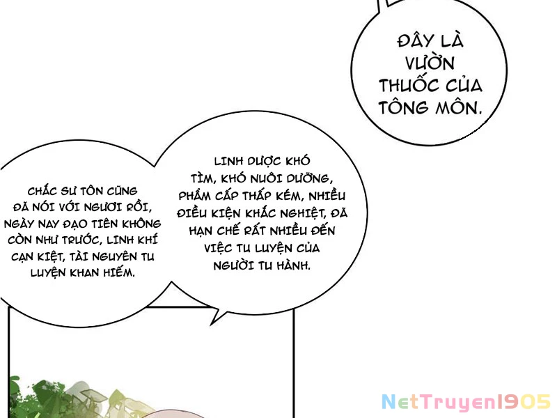 Sư Tỷ, Ta Không Muốn Cố Gắng! Chapter 3 - 10