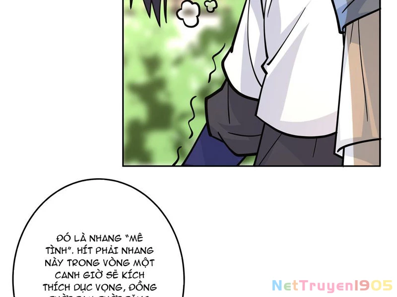 Sư Tỷ, Ta Không Muốn Cố Gắng! Chapter 3 - 32