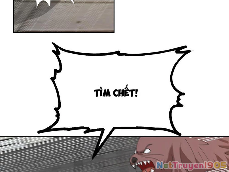 Sư Tỷ, Ta Không Muốn Cố Gắng! Chapter 4 - 8