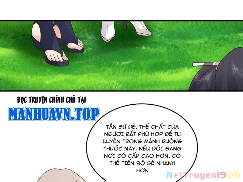 Sư Tỷ, Ta Không Muốn Cố Gắng! Chapter 5 - 13