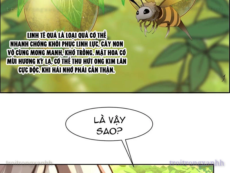 Sư Tỷ, Ta Không Muốn Cố Gắng! Chapter 7 - 15