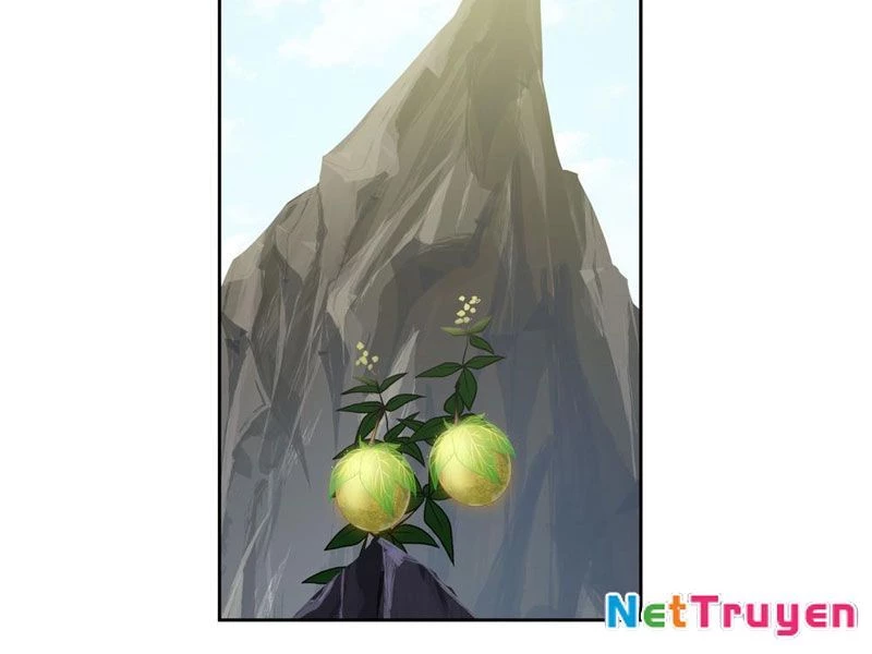 Sư Tỷ, Ta Không Muốn Cố Gắng! Chapter 7 - 31
