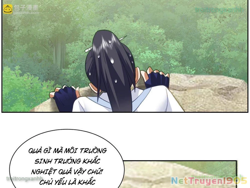 Sư Tỷ, Ta Không Muốn Cố Gắng! Chapter 7 - 33