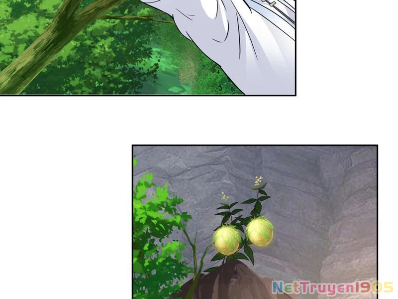 Sư Tỷ, Ta Không Muốn Cố Gắng! Chapter 7 - 49
