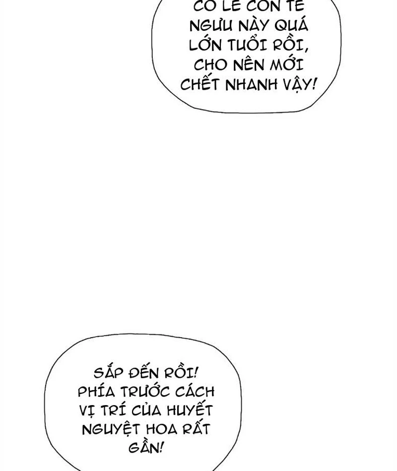 Chỉ Với Dao Mổ Heo, Ta Chém Khắp Chư Thiên Vạn Giới Chapter 6 - 15