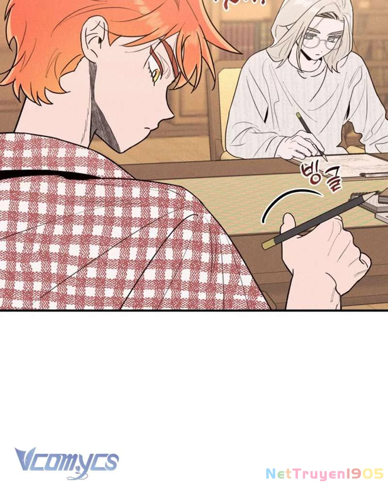 Tối Nay Tôi Là Người Được Cô Ấy Chọn Chapter 1 - 146