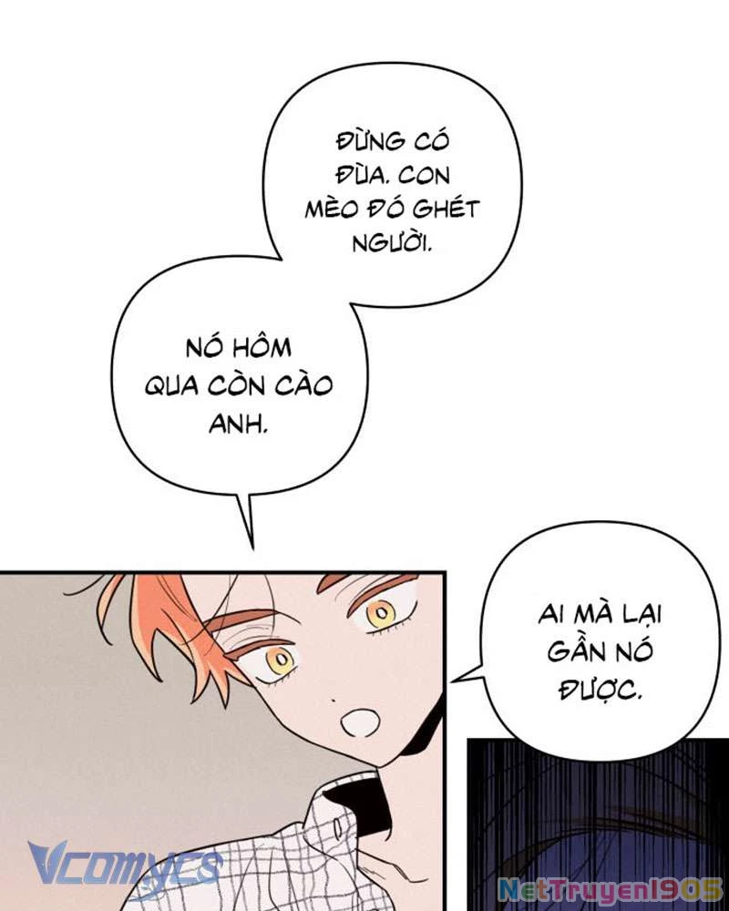 Tối Nay Tôi Là Người Được Cô Ấy Chọn Chapter 1 - 221