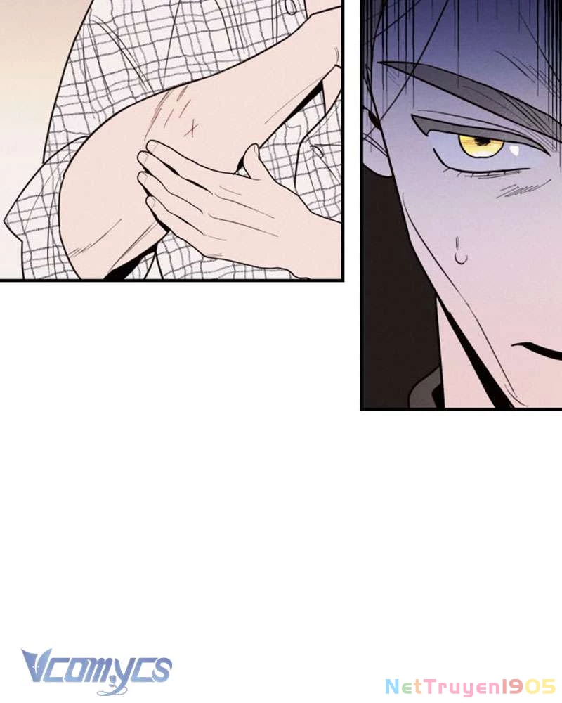 Tối Nay Tôi Là Người Được Cô Ấy Chọn Chapter 1 - 222