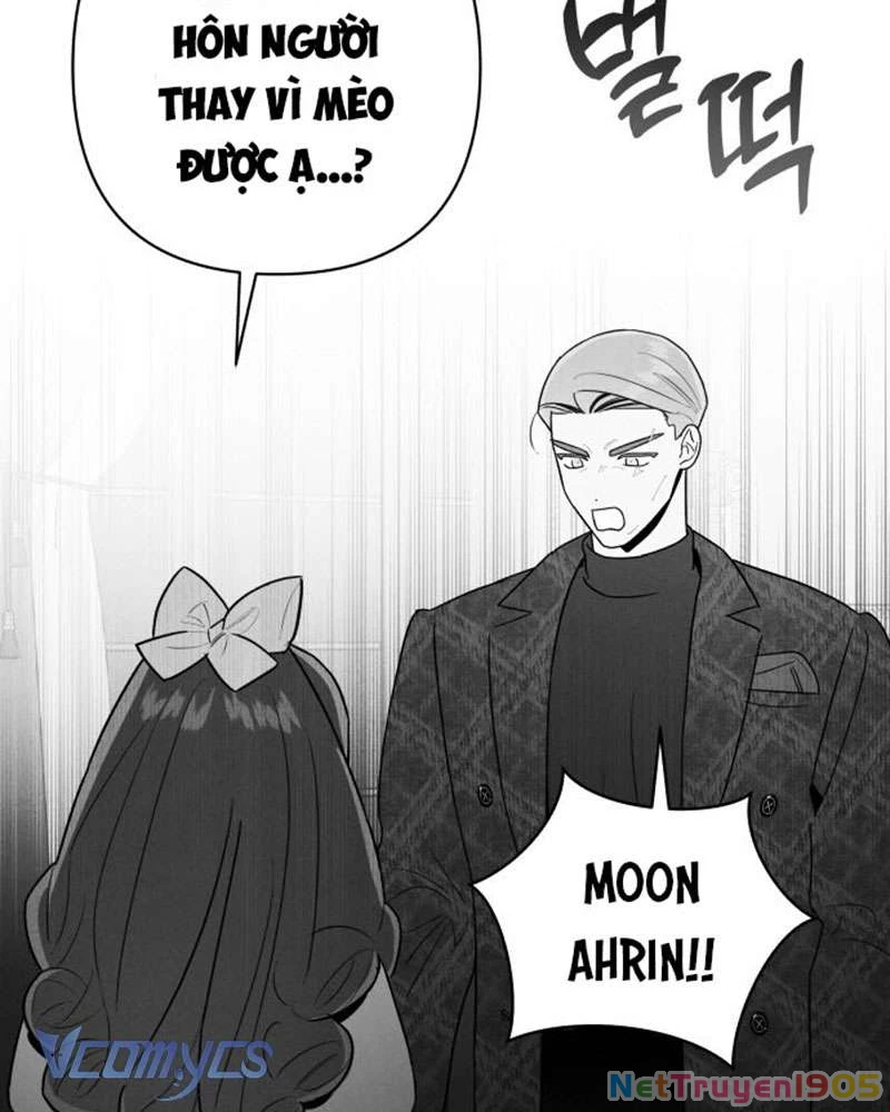 Tối Nay Tôi Là Người Được Cô Ấy Chọn Chapter 3 - 138