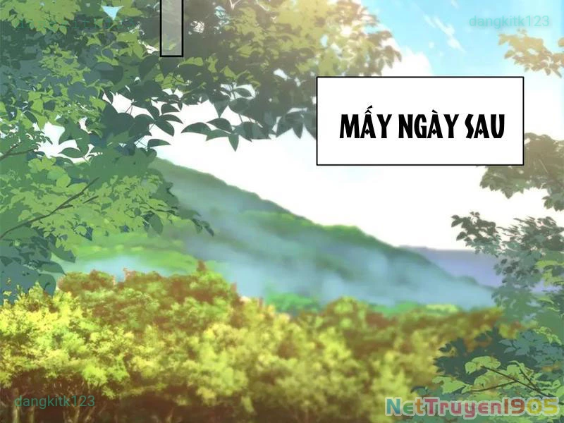 Ta Là Tiên Tôn Thiên Giới Bị Mất Trí Nhớ Chapter 49 - 88