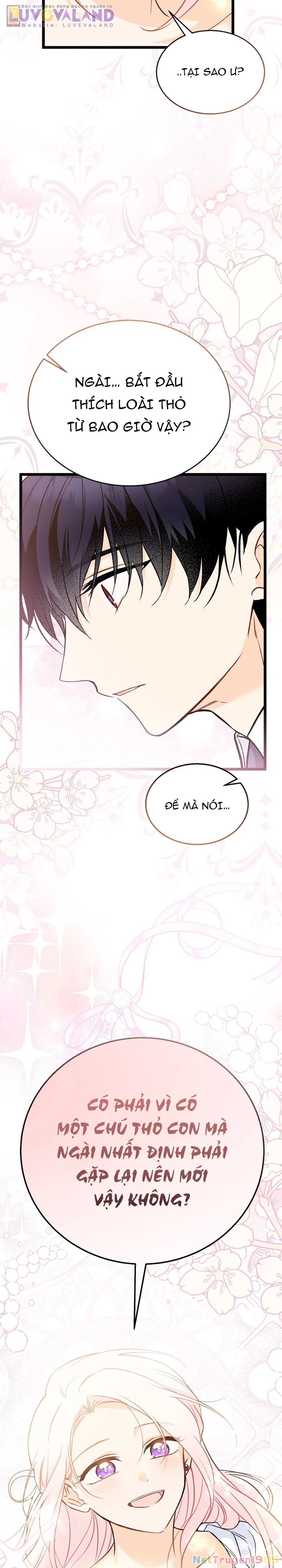 Mối Liên Kết Giữa Báo Đen Và Bé Thỏ Chapter 182 - 21