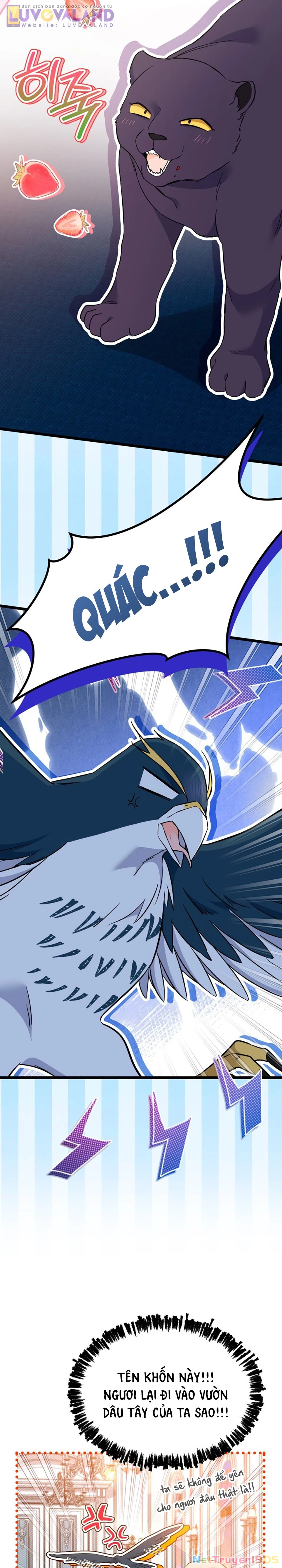 Mối Liên Kết Giữa Báo Đen Và Bé Thỏ Chapter 183 - 27