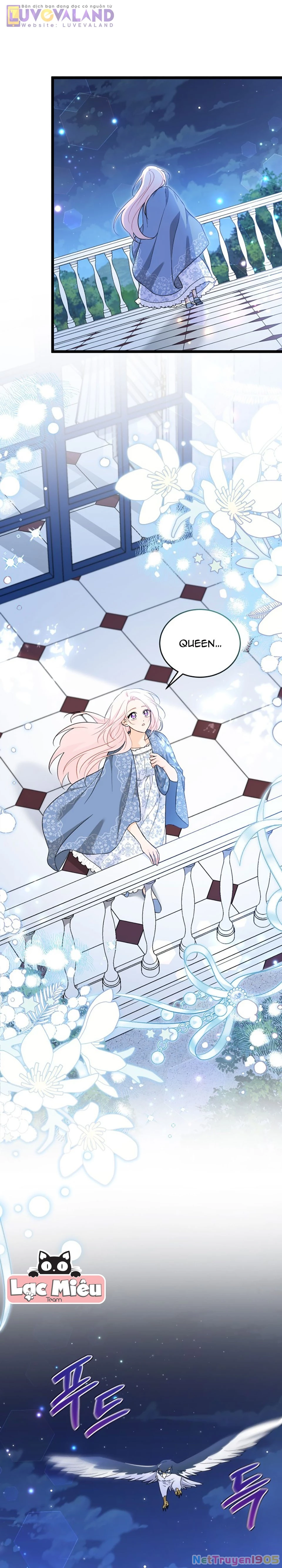 Mối Liên Kết Giữa Báo Đen Và Bé Thỏ Chapter 185 - 2