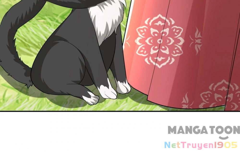 Giang Sơn Mỹ Nam Nhập Trướng Ta Chapter 49 - 44