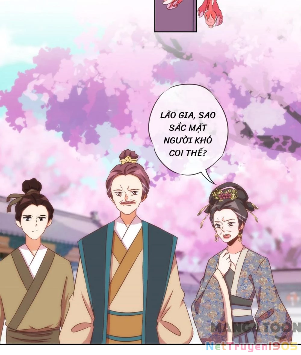 Ồ, Sủng Phi Đại Nhân Của Ta Chapter 95 - 20