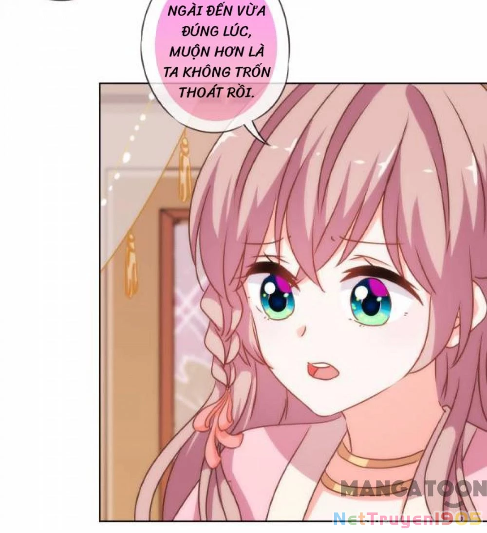 Ồ, Sủng Phi Đại Nhân Của Ta Chapter 171 - 6