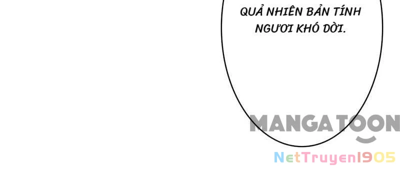 Bảo Bối Em Thật Ngọt Ngào Chapter 21 - 21