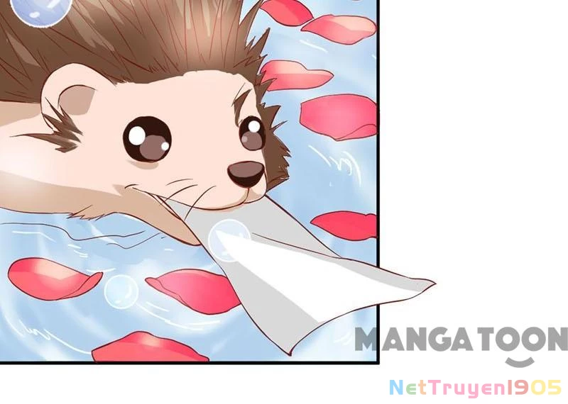 Bảo Bối Em Thật Ngọt Ngào Chapter 33 - 14