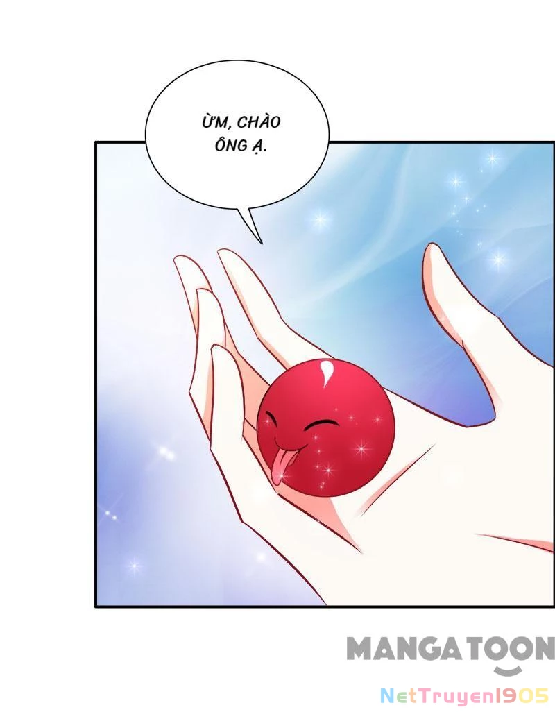 Bảo Bối Em Thật Ngọt Ngào Chapter 73 - 4