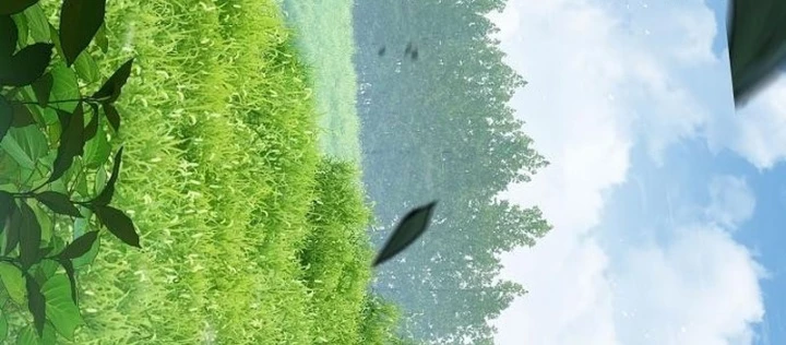 Tuyệt Thế Hồi Quy Chapter 62 - 48