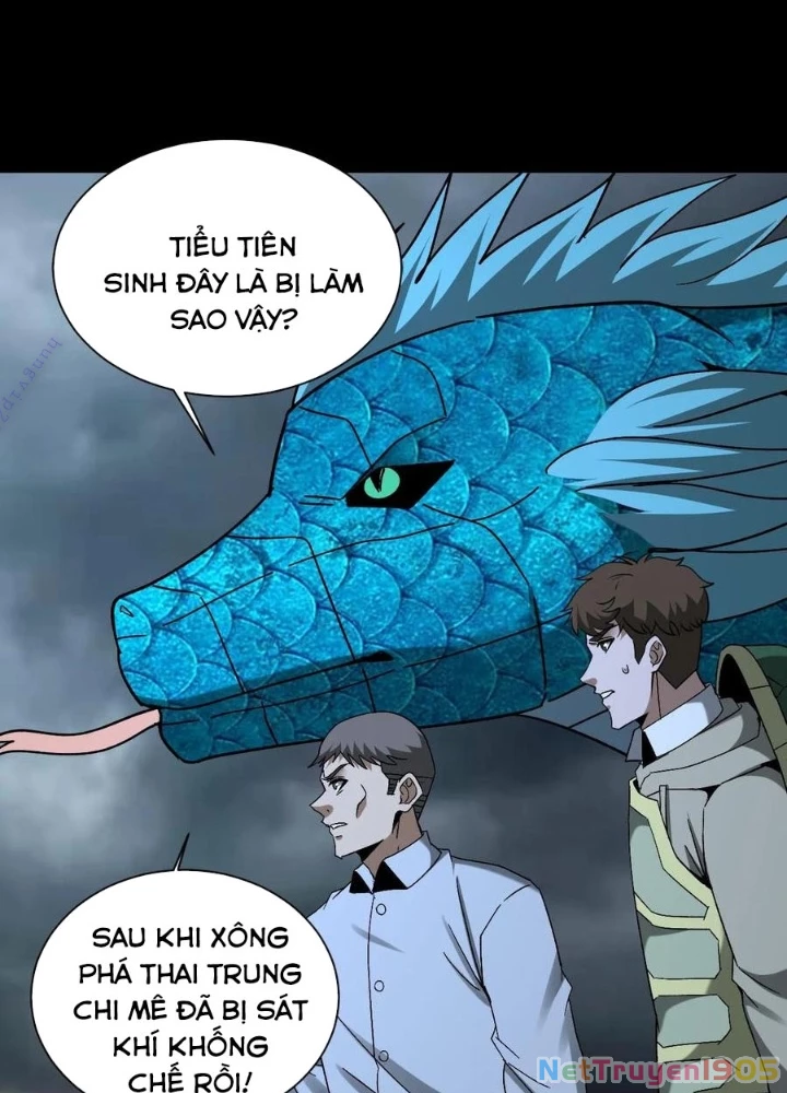 Ngày Tôi Sinh Ra, Bách Quỷ Dạ Hành, Tuyết Thi Hộ Đạo Chapter 800 - 57
