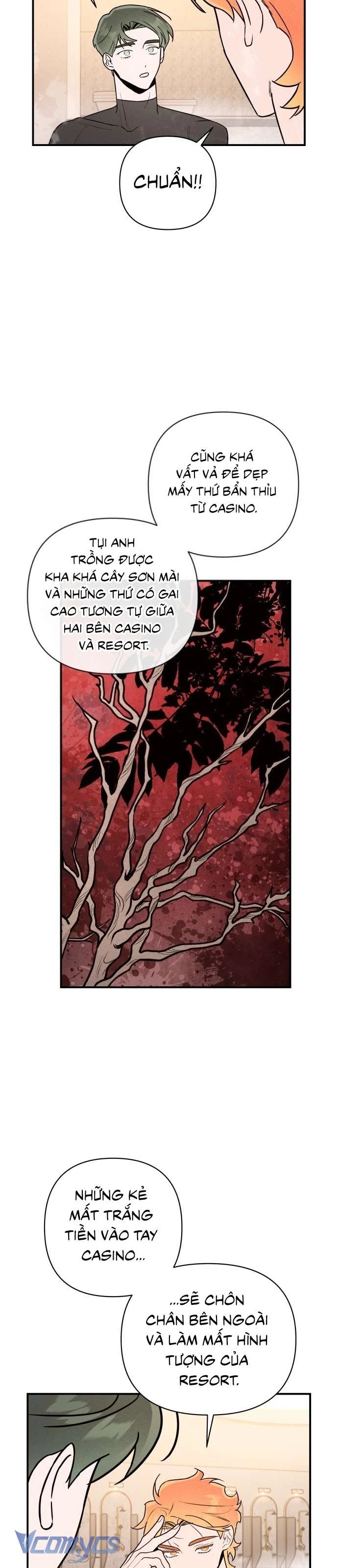 Tối Nay Tôi Là Người Được Cô Ấy Chọn Chapter 10 - 13