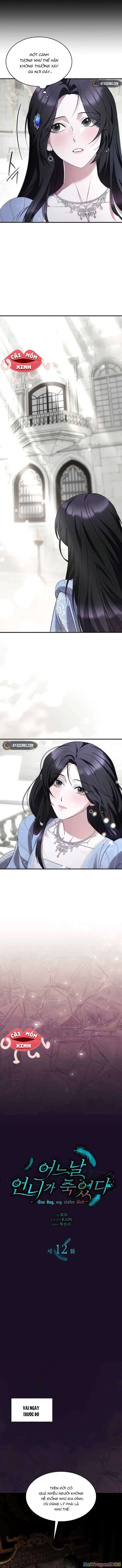 Vào Ngày Mà Chị Gái Tôi Qua Đời Chapter 12 - 2