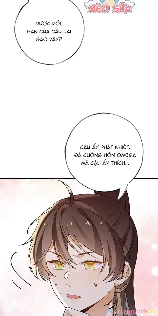 Bạch Nguyệt Quang Luôn Muốn Độc Chiếm Tôi Chapter 69 - 51