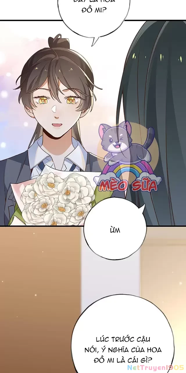 Bạch Nguyệt Quang Luôn Muốn Độc Chiếm Tôi Chapter 71 - 5